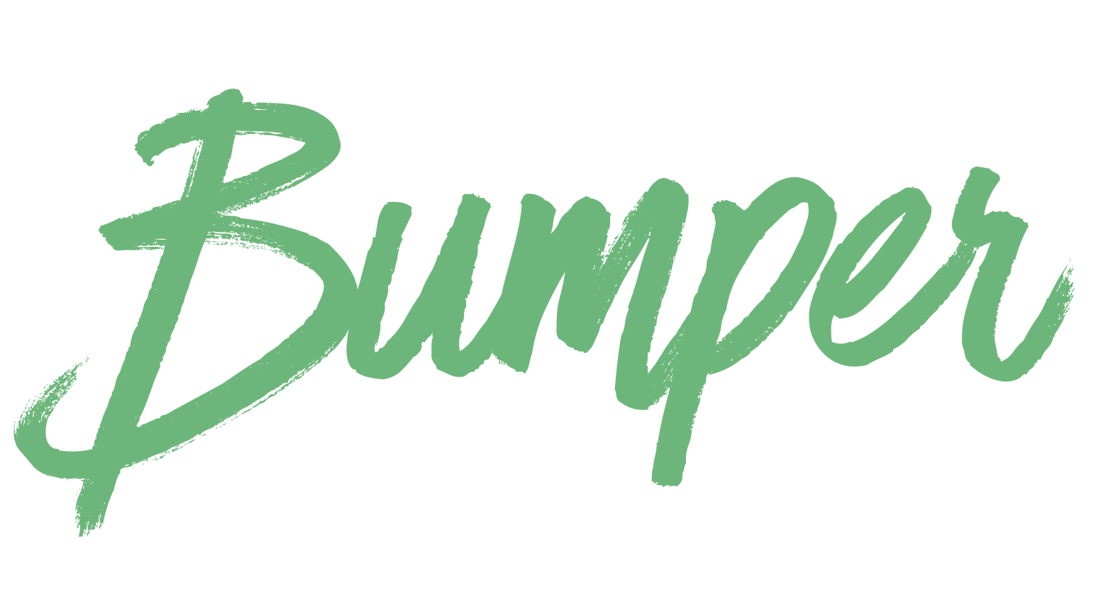Bumper Assurances